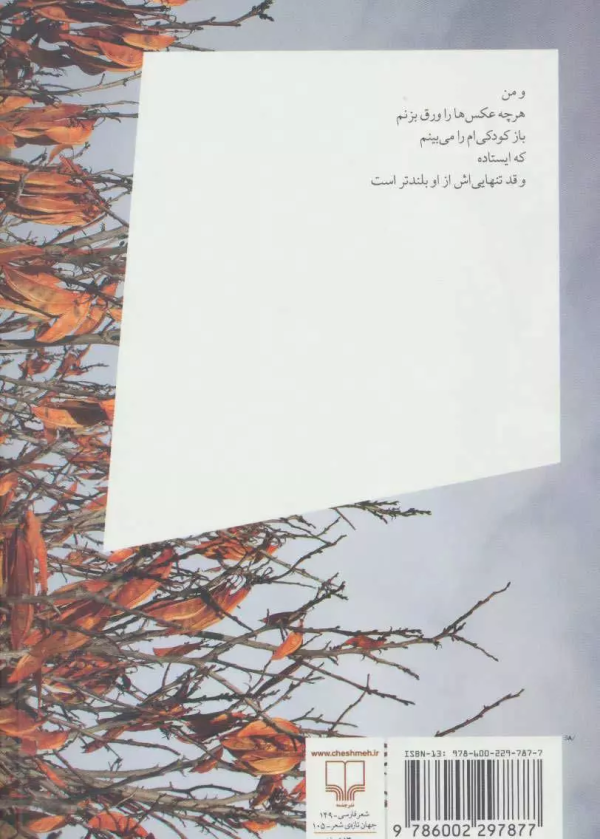 بی‌نظمی/کتاب باز
